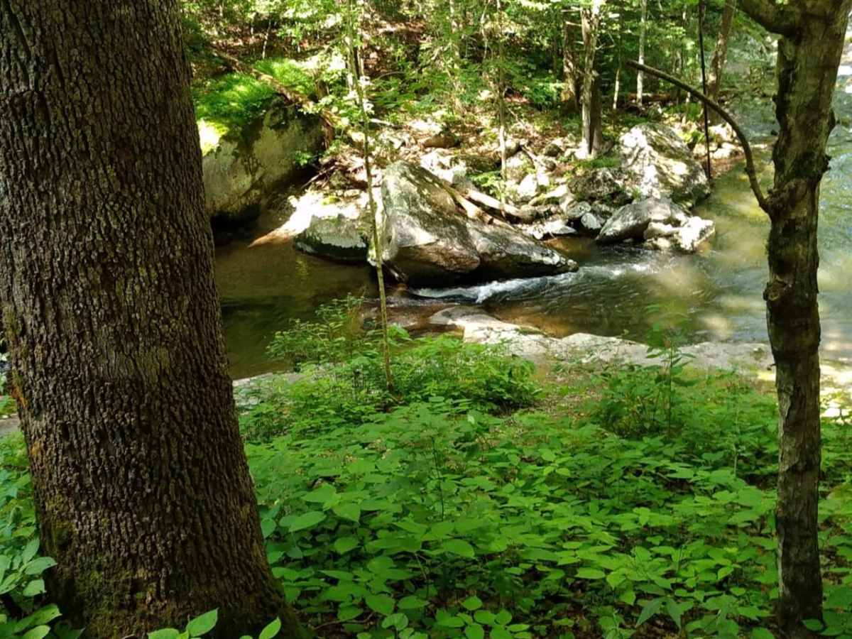 Big Piney photo 6