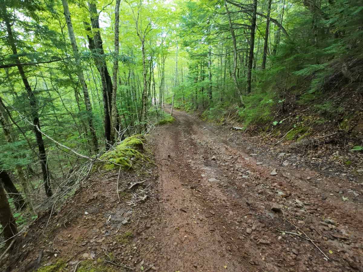Mud Hill photo 6