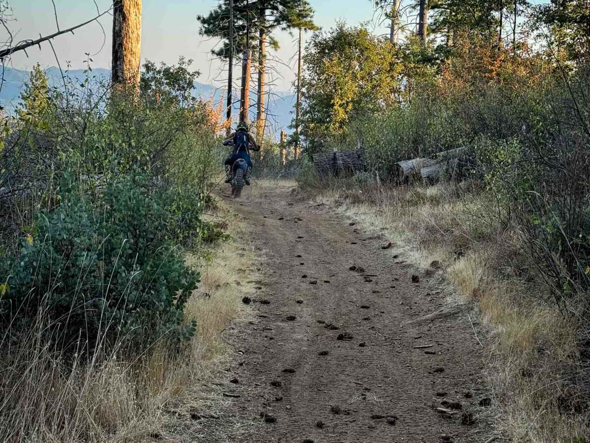 21E238 trail photo