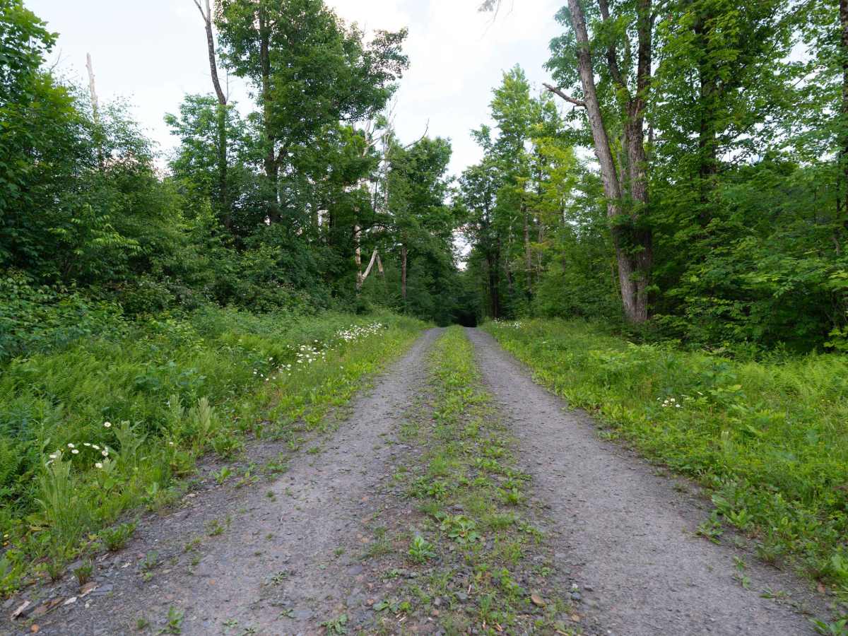 Truck Trail 2 photo 3