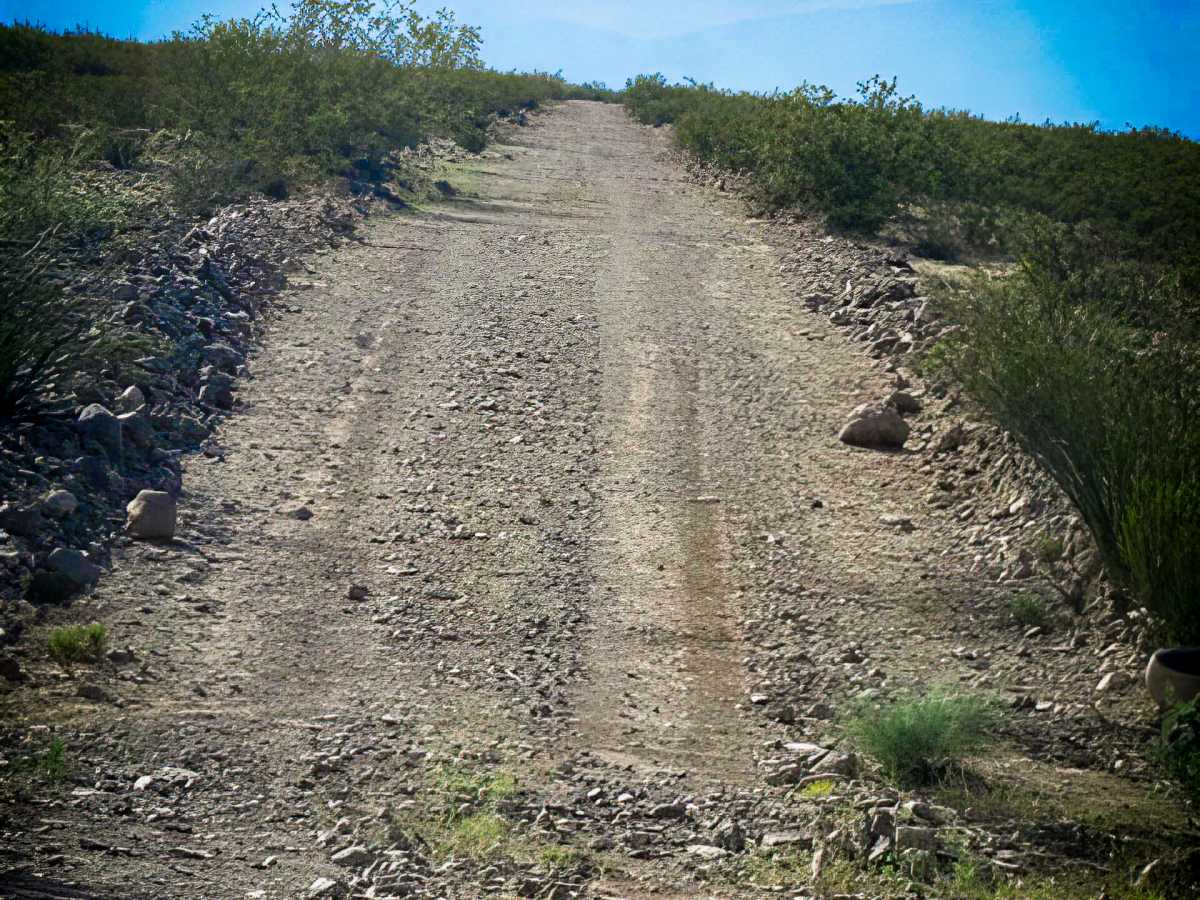 SS1156 photo 3