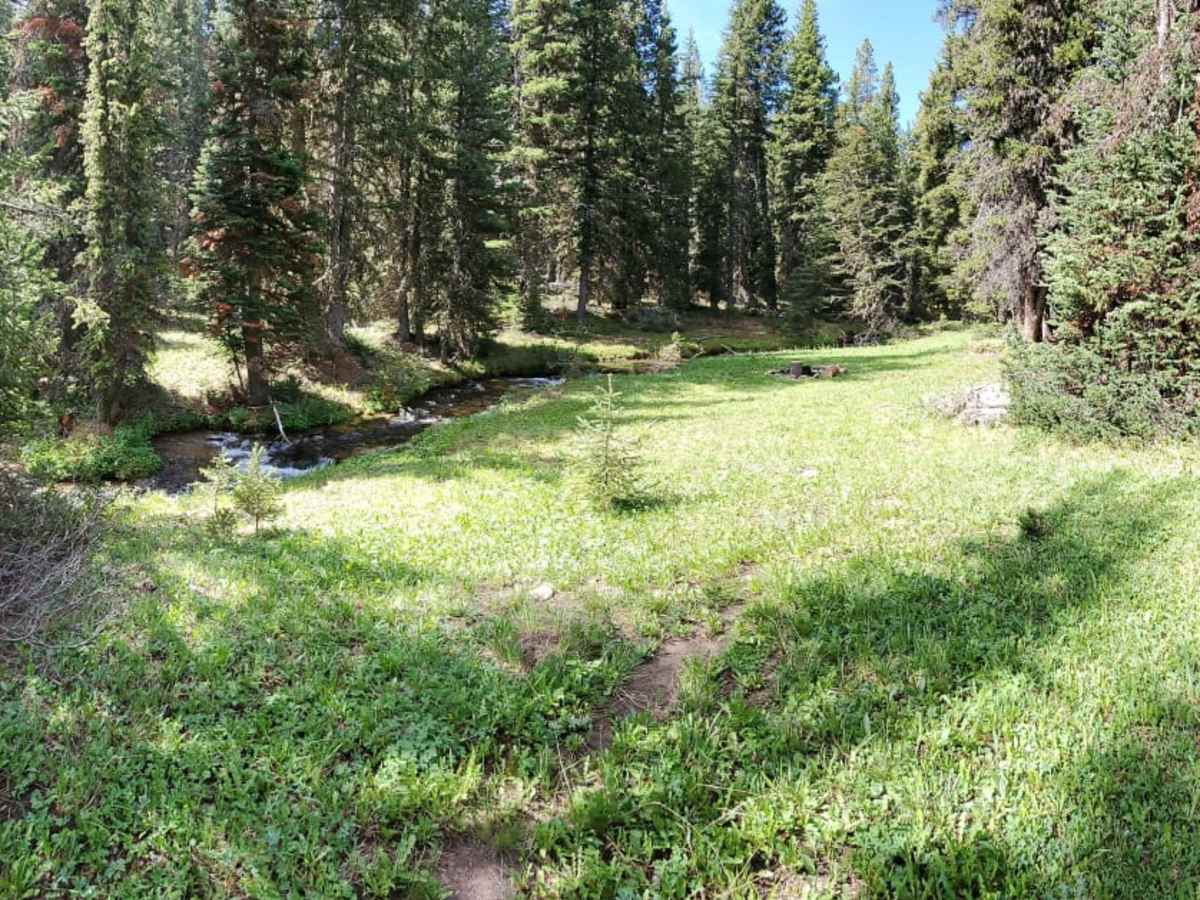 Fools Creek Trails photo 4