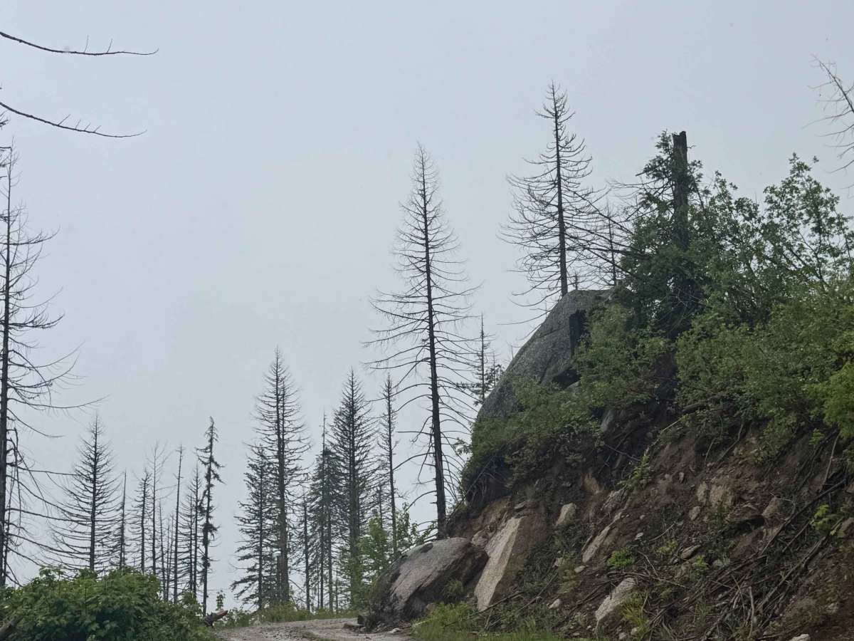 Mill Creek - FS 312 photo 2