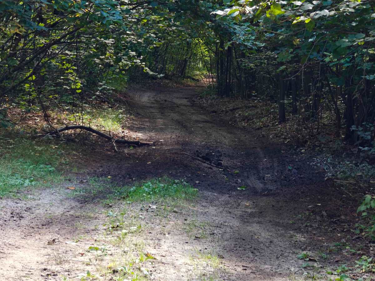 Everett Trail photo 3