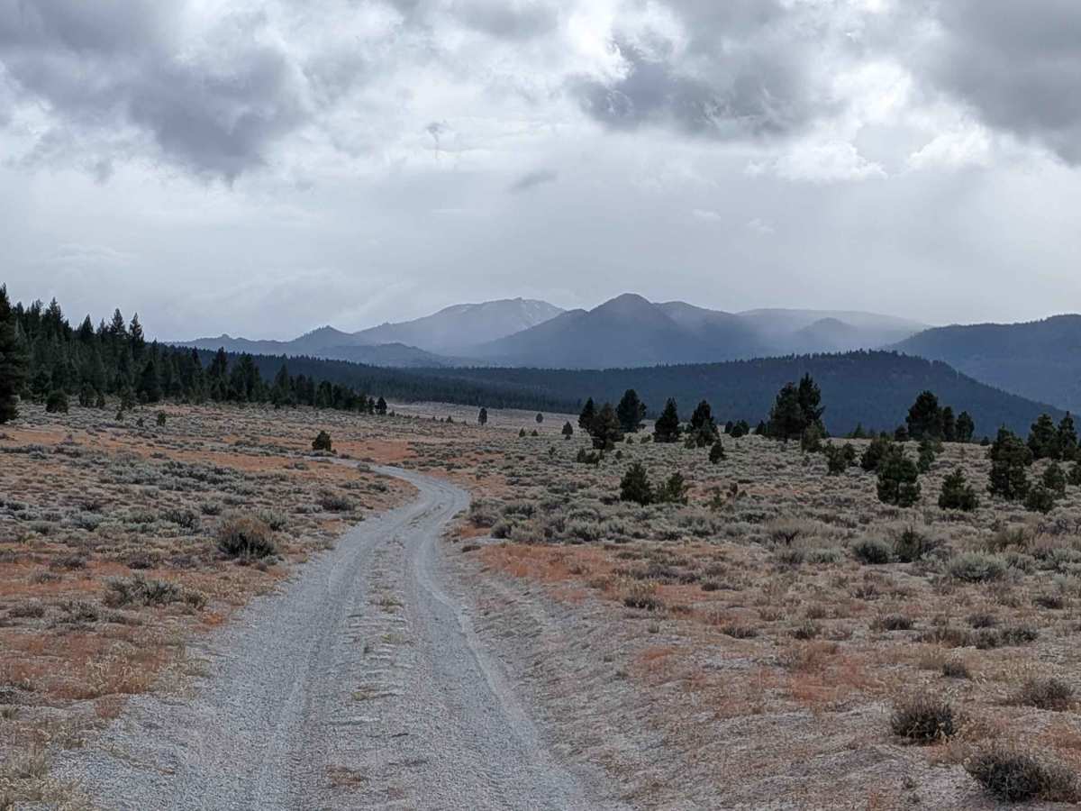 Mono Craters - FS 1S07 trail photo