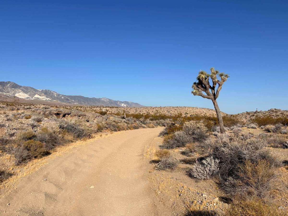 Pioneer Ridge trail photo