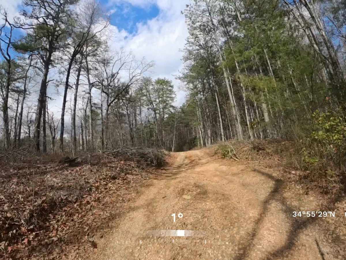 FS 156A photo 3