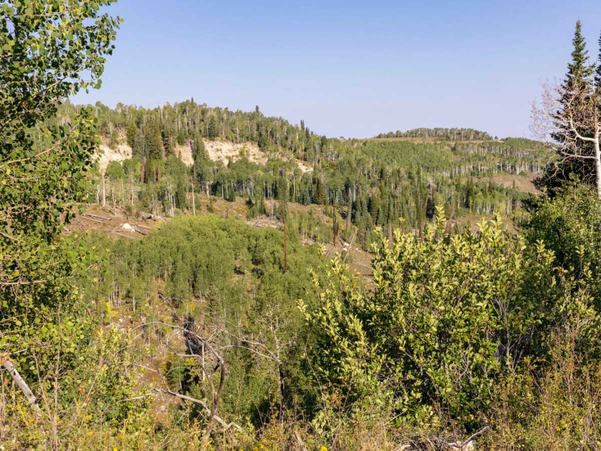 Beaver Creek-Clear Creek Road photo 2