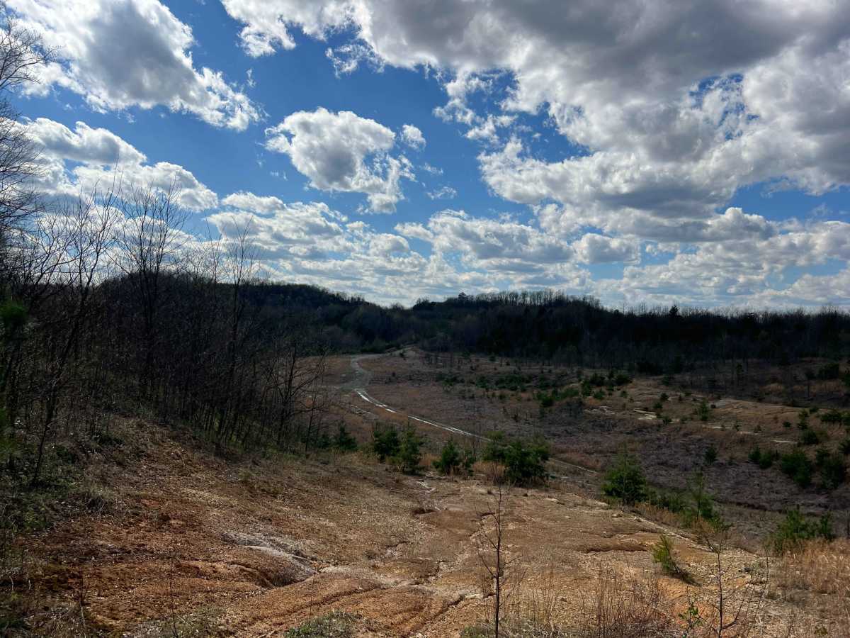 Q56 trail photo