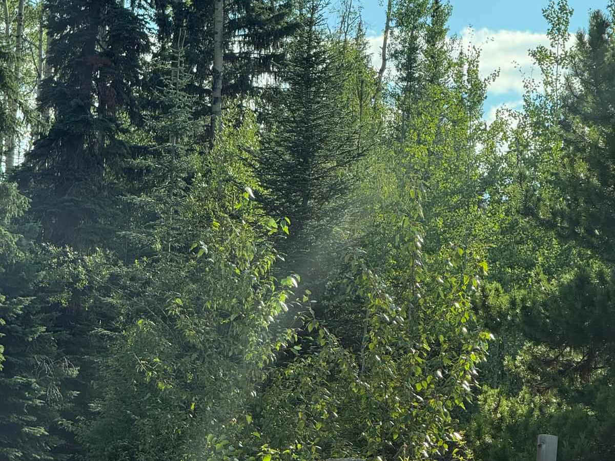 Crystal Lake Trail photo 3