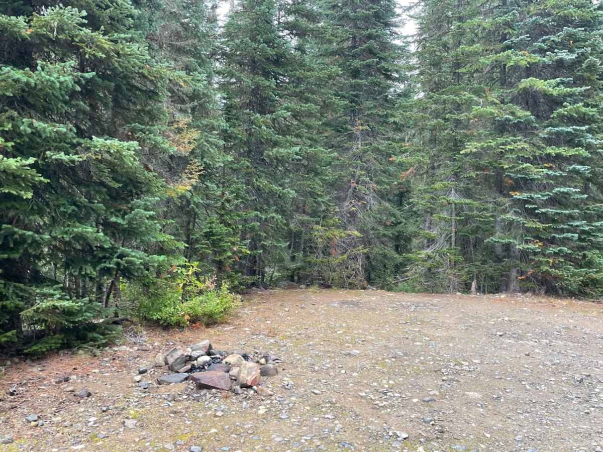 Lightning Creek photo 5