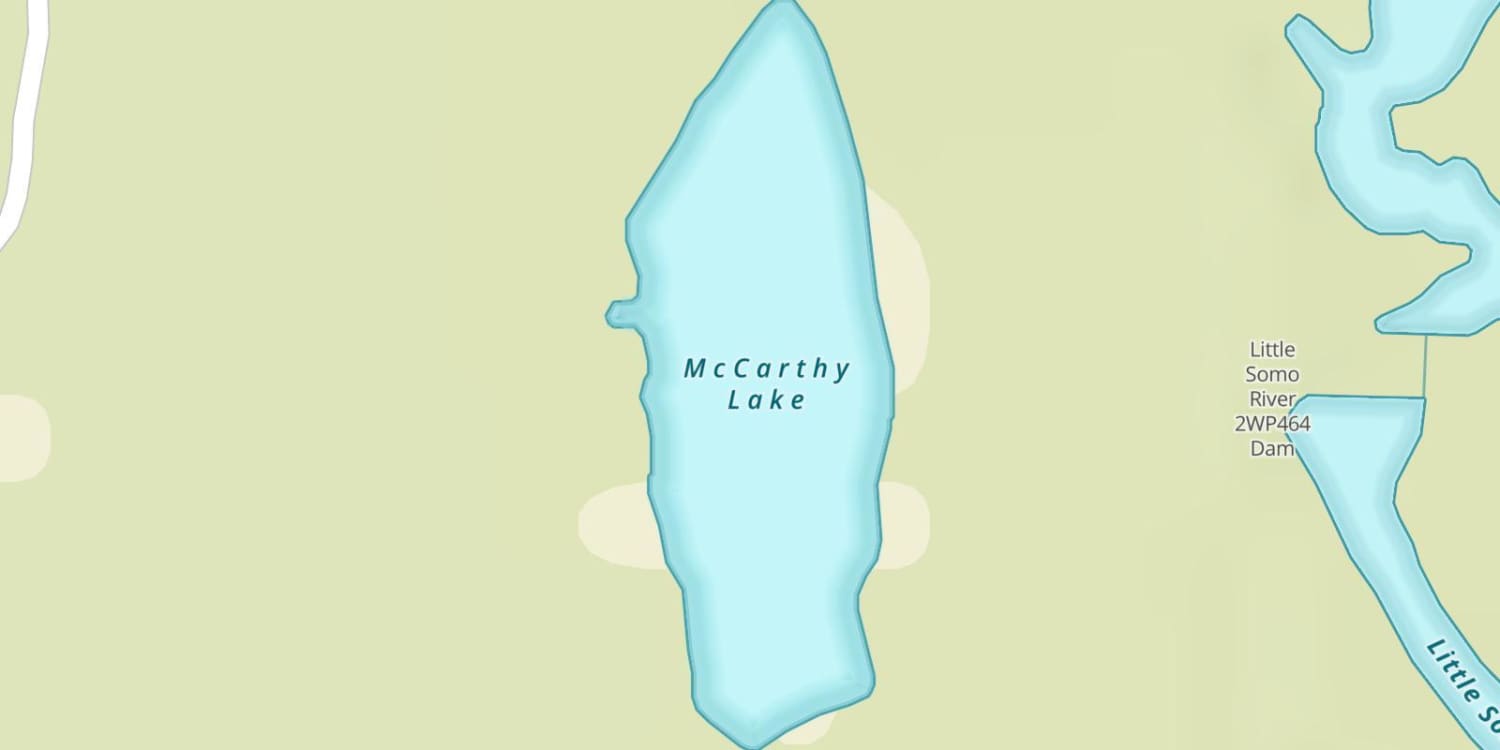McCarthy Lake