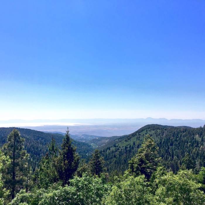 Incredible view down into White Sands National Monument! Near Rim Trail Out-and-Back