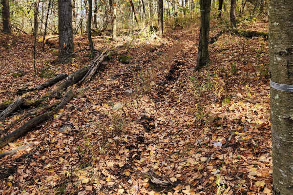OHV 15 - Rock Run Recreation Area