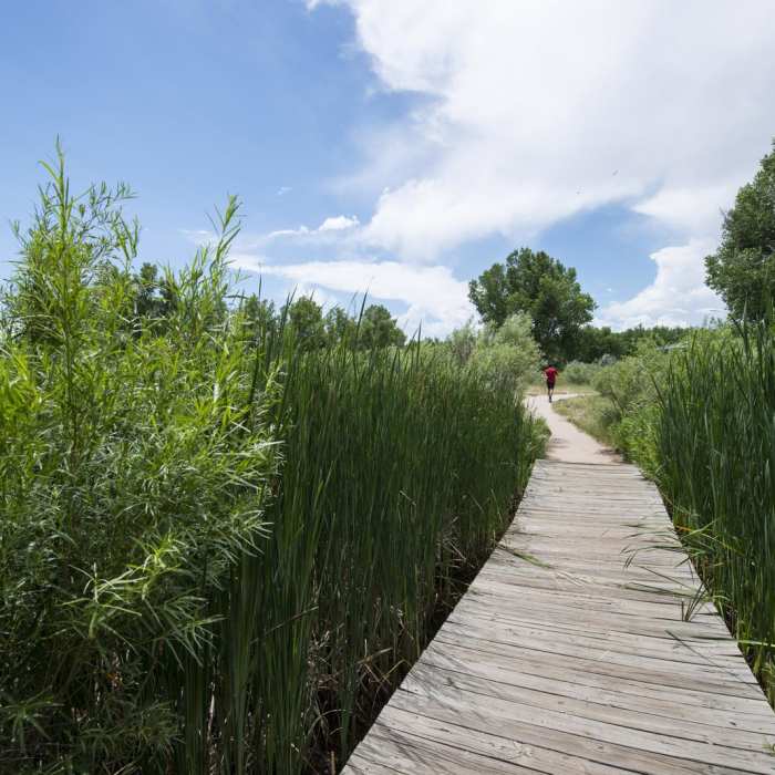 Near Wetland Loop Trail Hike