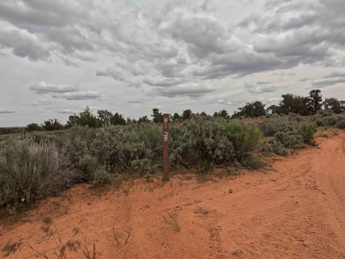 BLM 63 photo 2