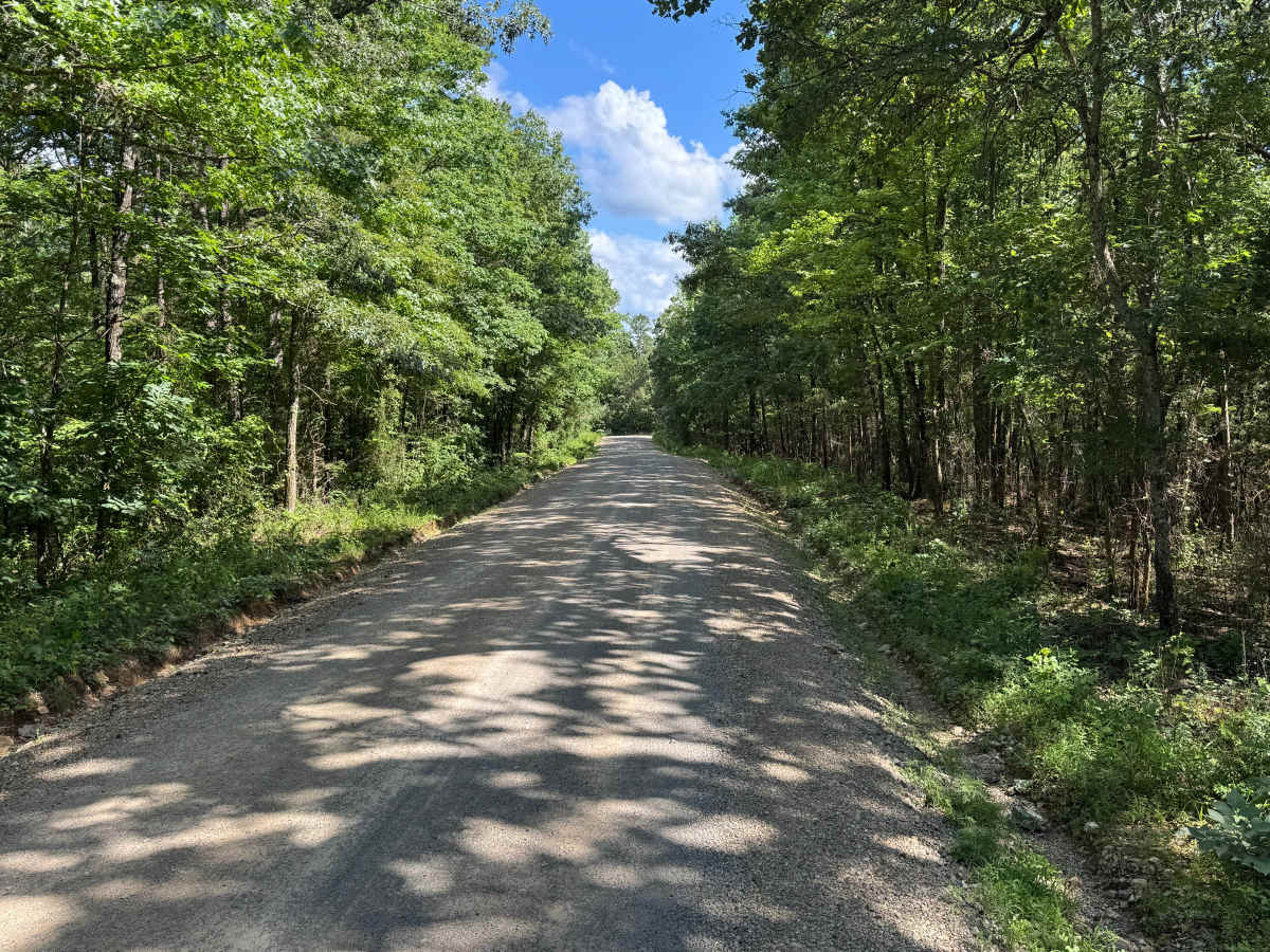 North Gaston Mountain Road photo 5