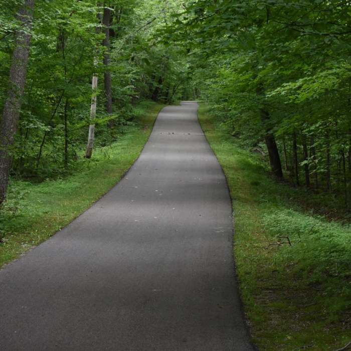 Near Annie Battle Lake Trail Near Annie Battle Lake Trail