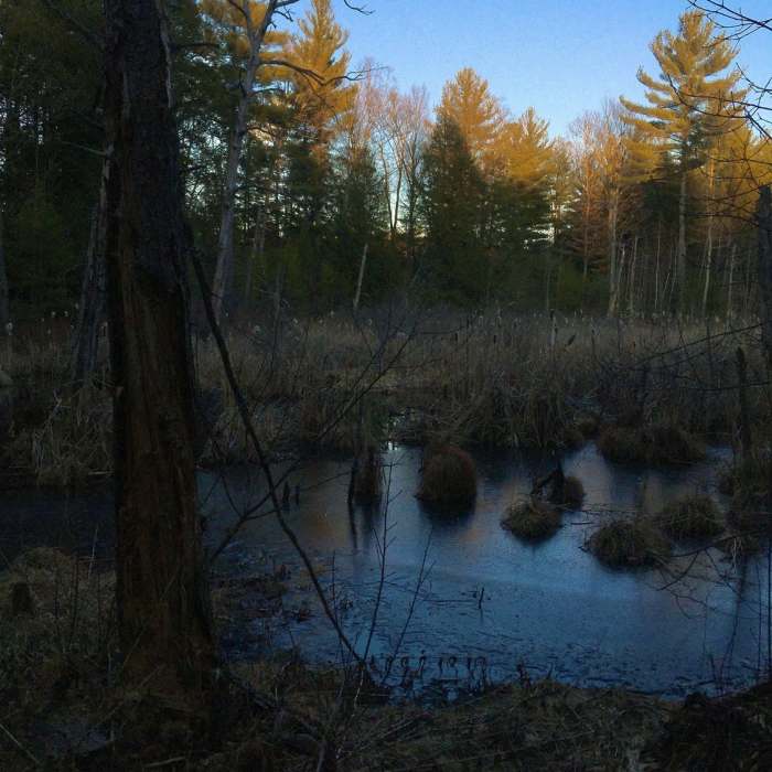 So close to civilization but feels remote. Near Robert Frost Trail