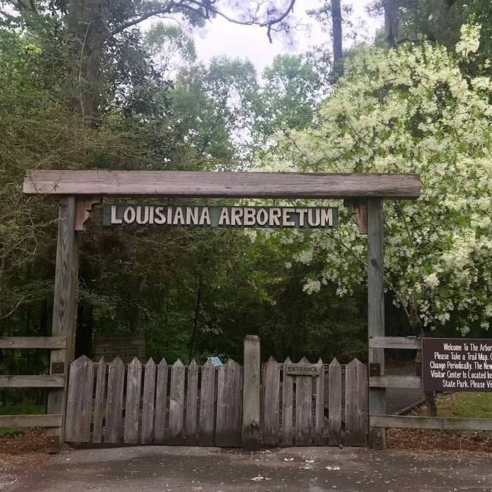 Entrance at 4213 Chicot Park Road Near Louisiana Arboretum Tour