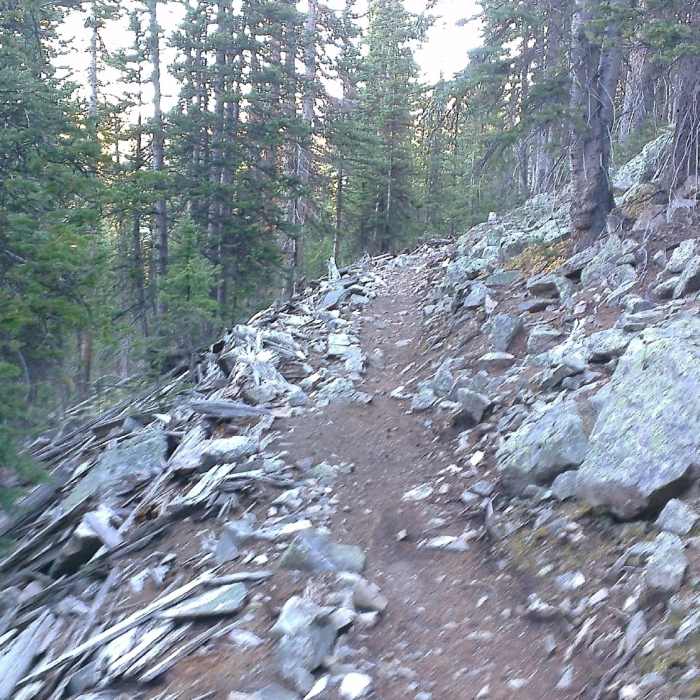 Near Great Flume Trail