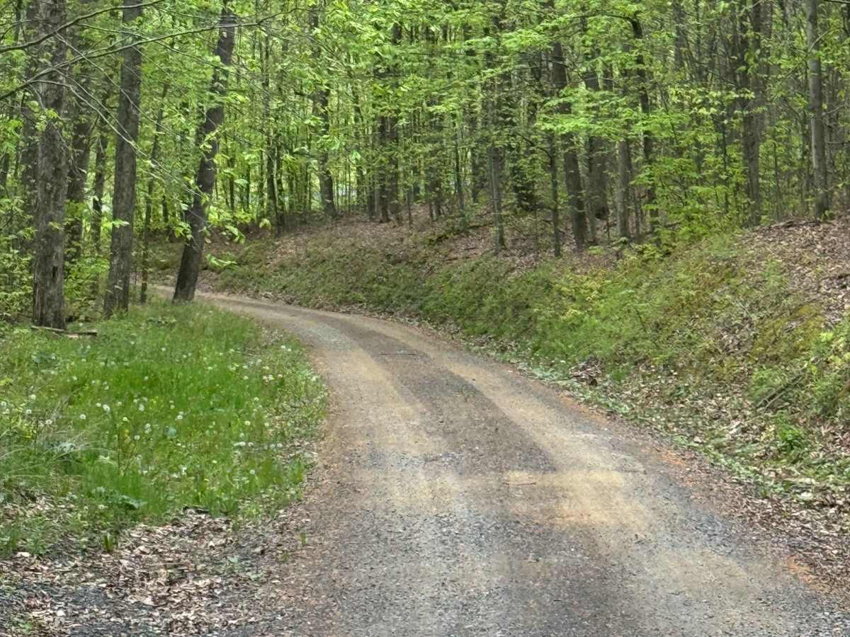 Whitman Road photo 2