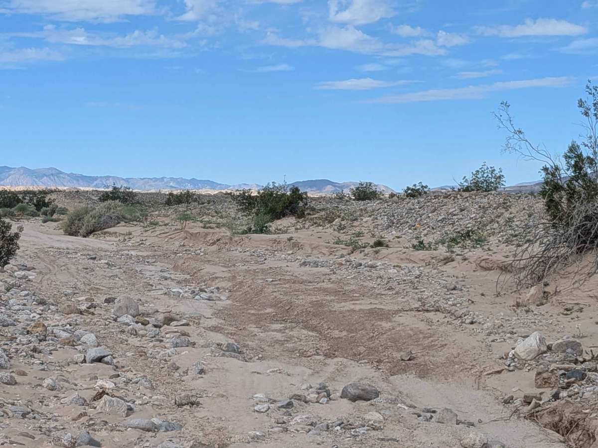 BLM 063 photo 4