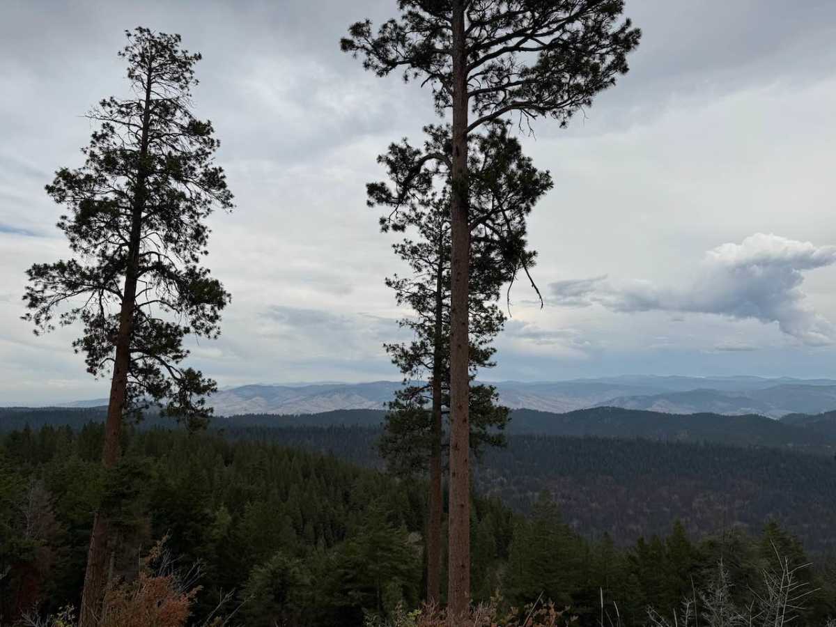 Upper Pierce Creek photo 6