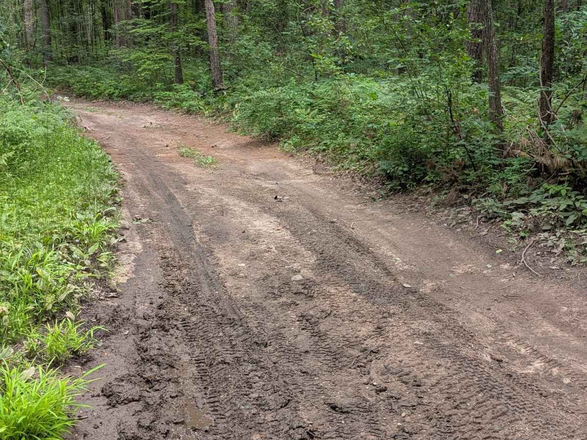 FS 4310 trail photo