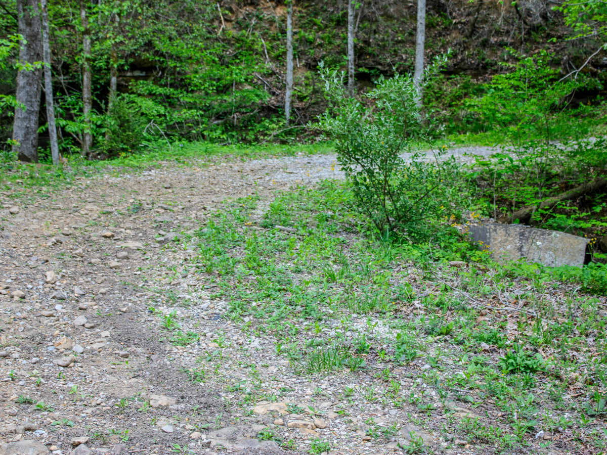 Patterson Cemetery Road photo 3