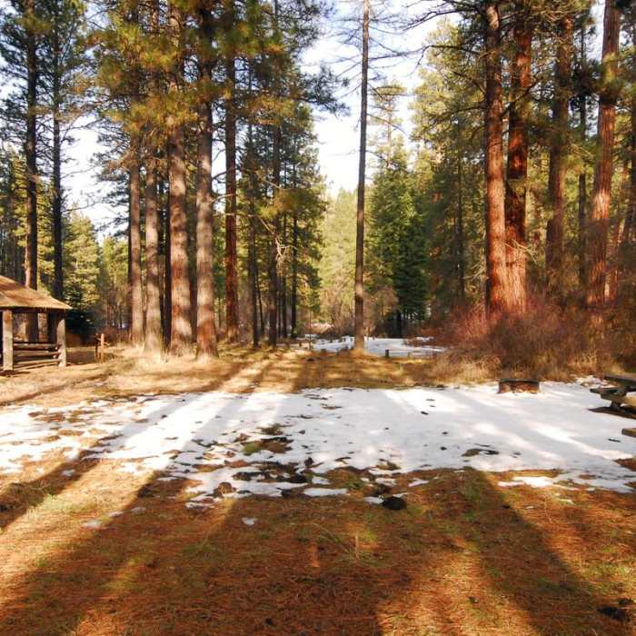 Near Metolius River, Allingham Bridge Hike