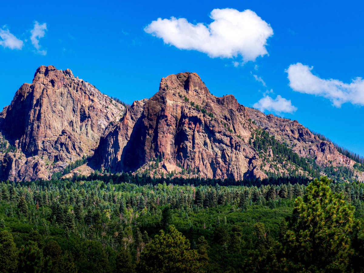 Navajo Peak Road - FS 731 photo 3