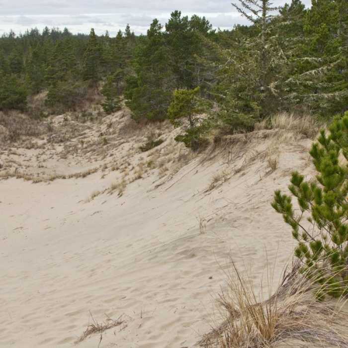 Near Sutton Campground Loop