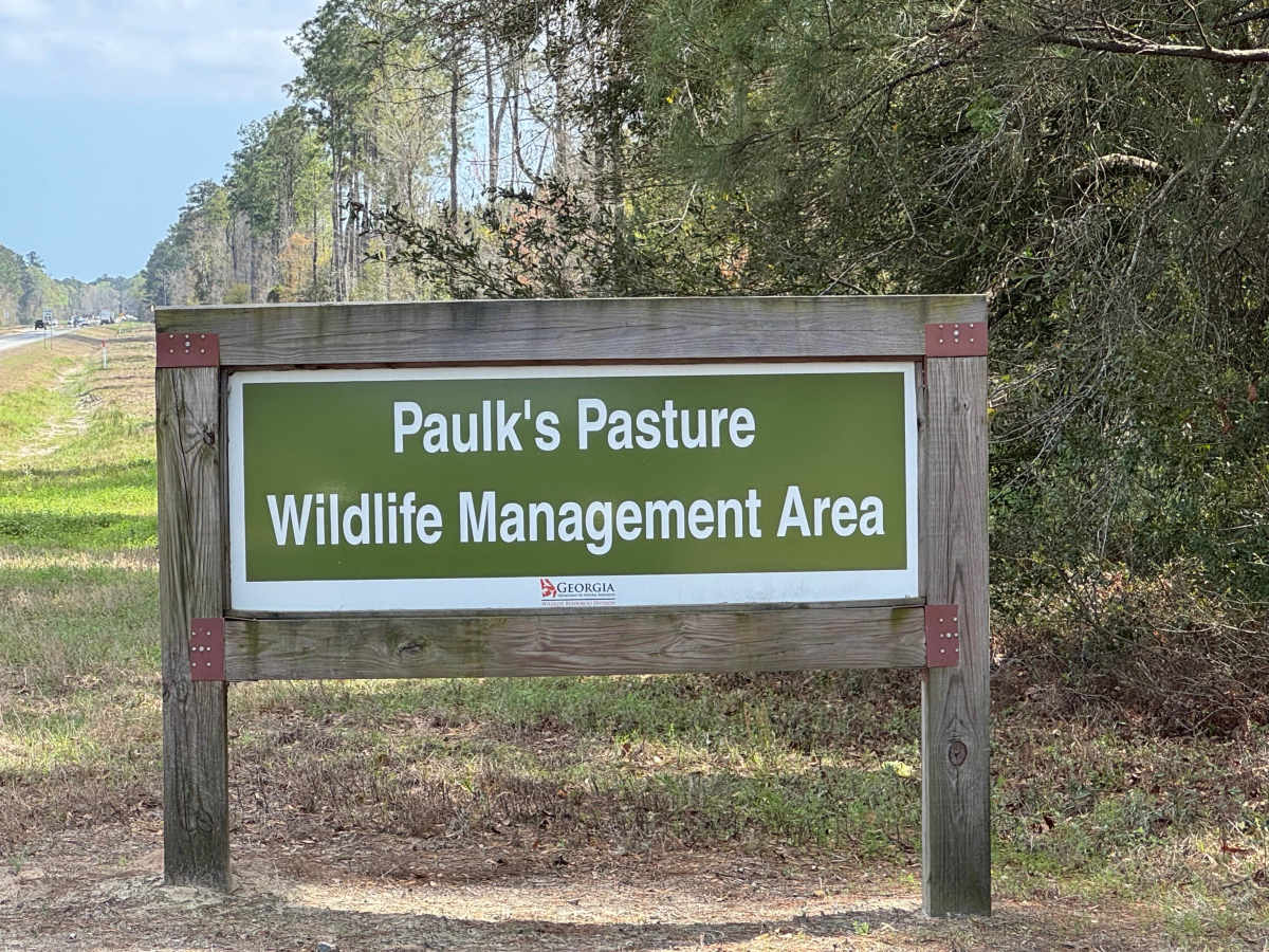 Main Road trail photo