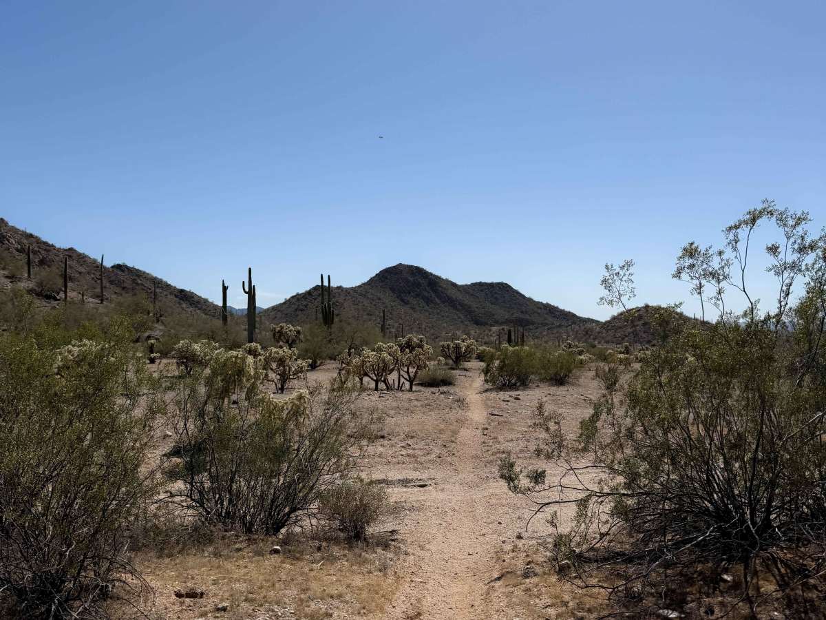 Bh1278 Singletrack  photo 5