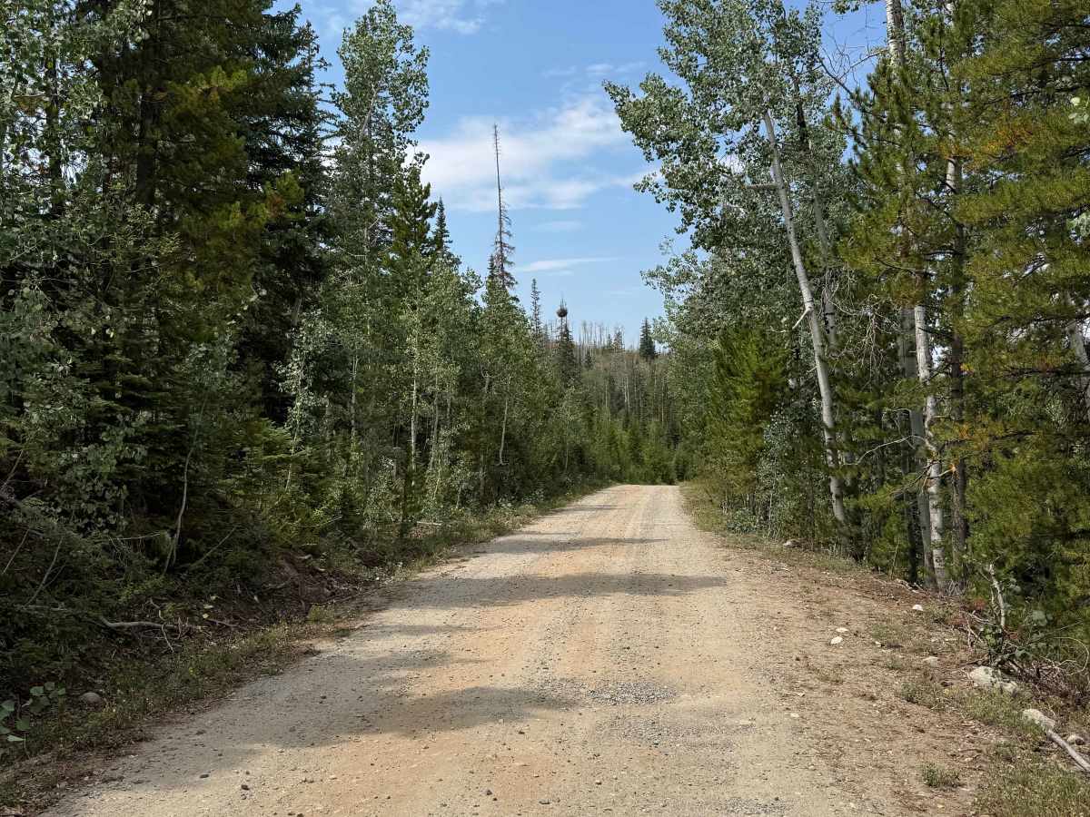 South Elk River Road photo 4