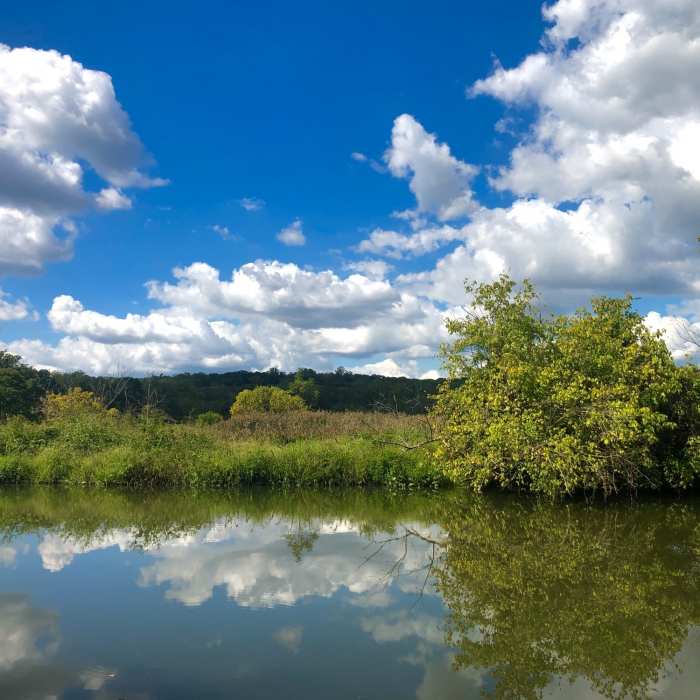 Beautiful reflections looking across Accotink Creek from the Great Blue Heron Trail. Near Accotink Creek Two Lookouts Loop