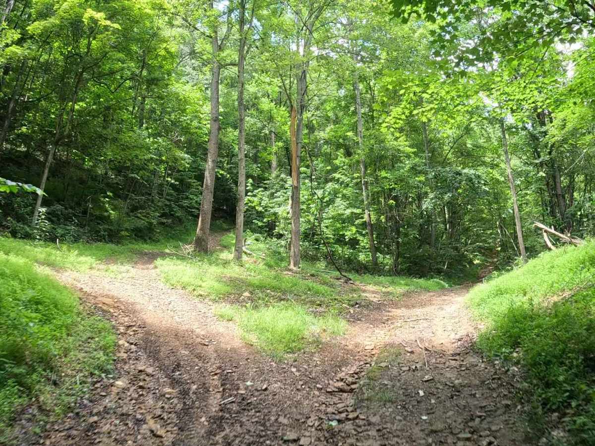 Q43A trail photo