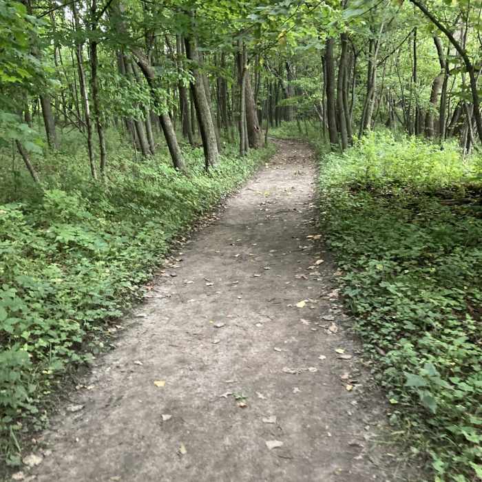 Near Hiking Club Trail