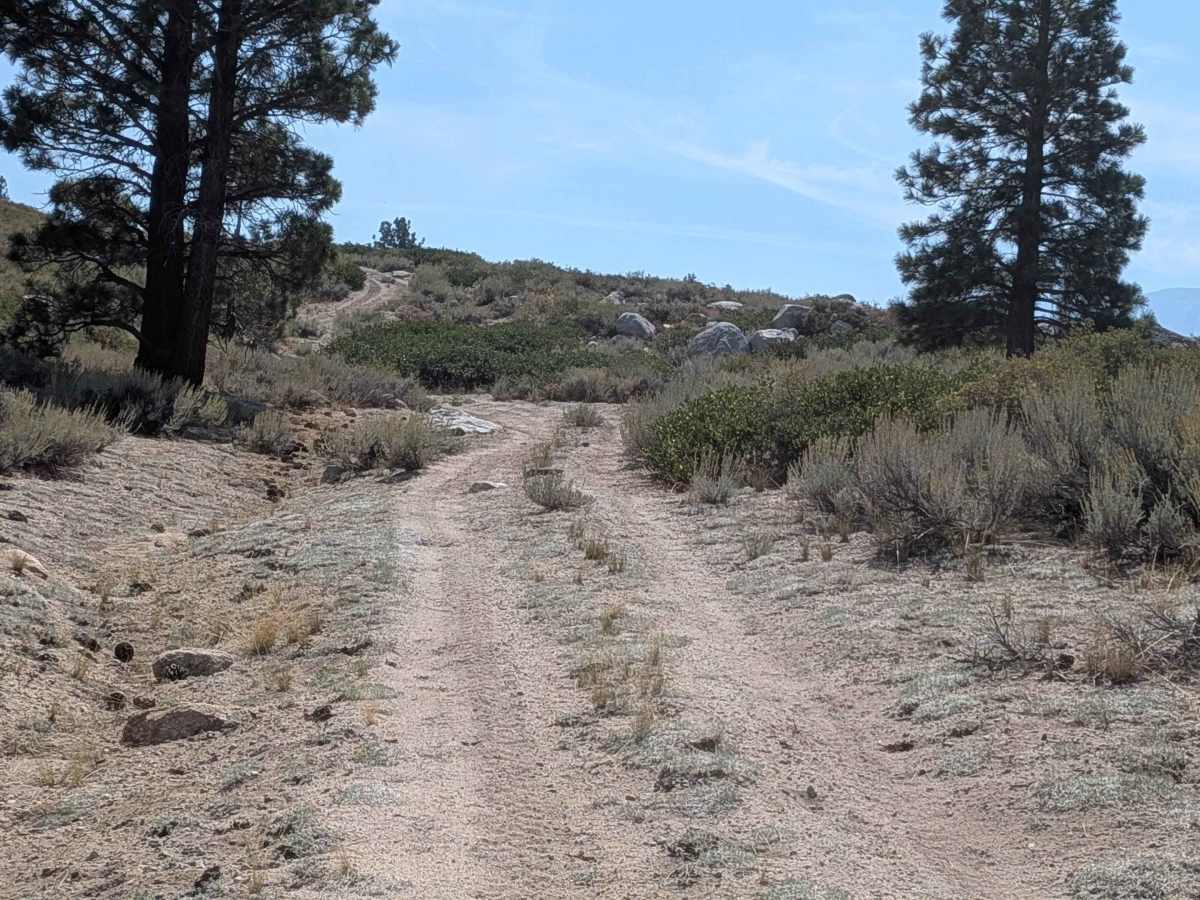 El Camino Estate Road - FS 32150 photo 4