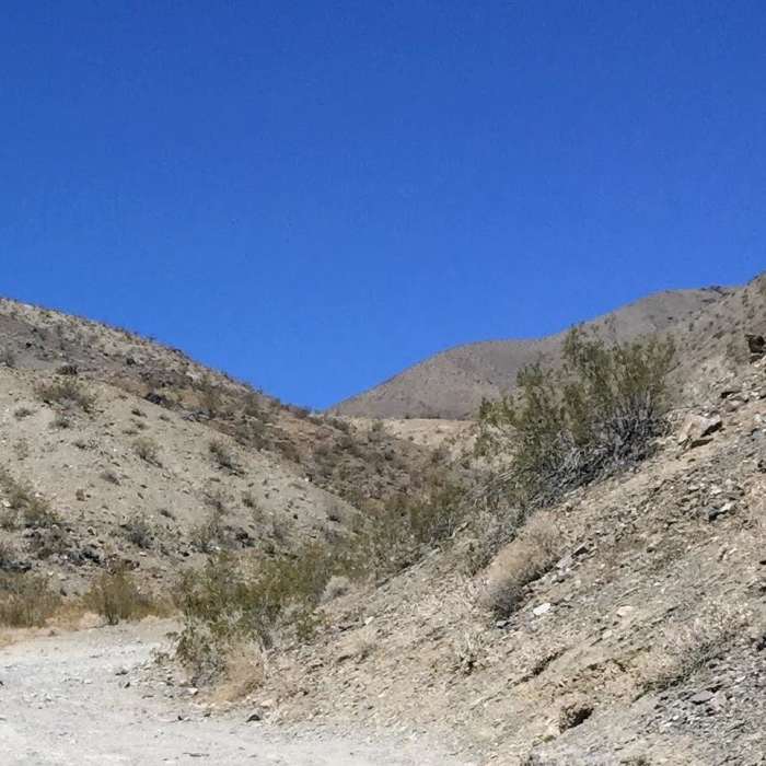 Near Mesquite Canyon