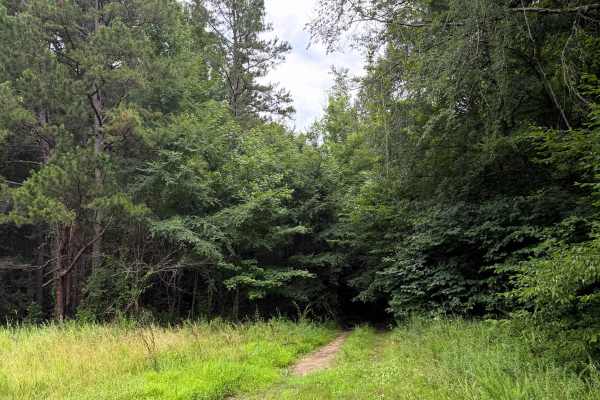 Peters Branch Boulevard