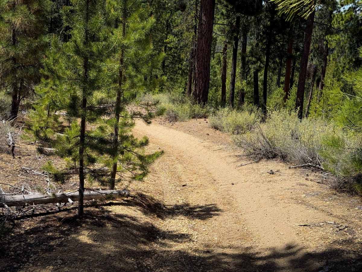 Trail 12  photo 5