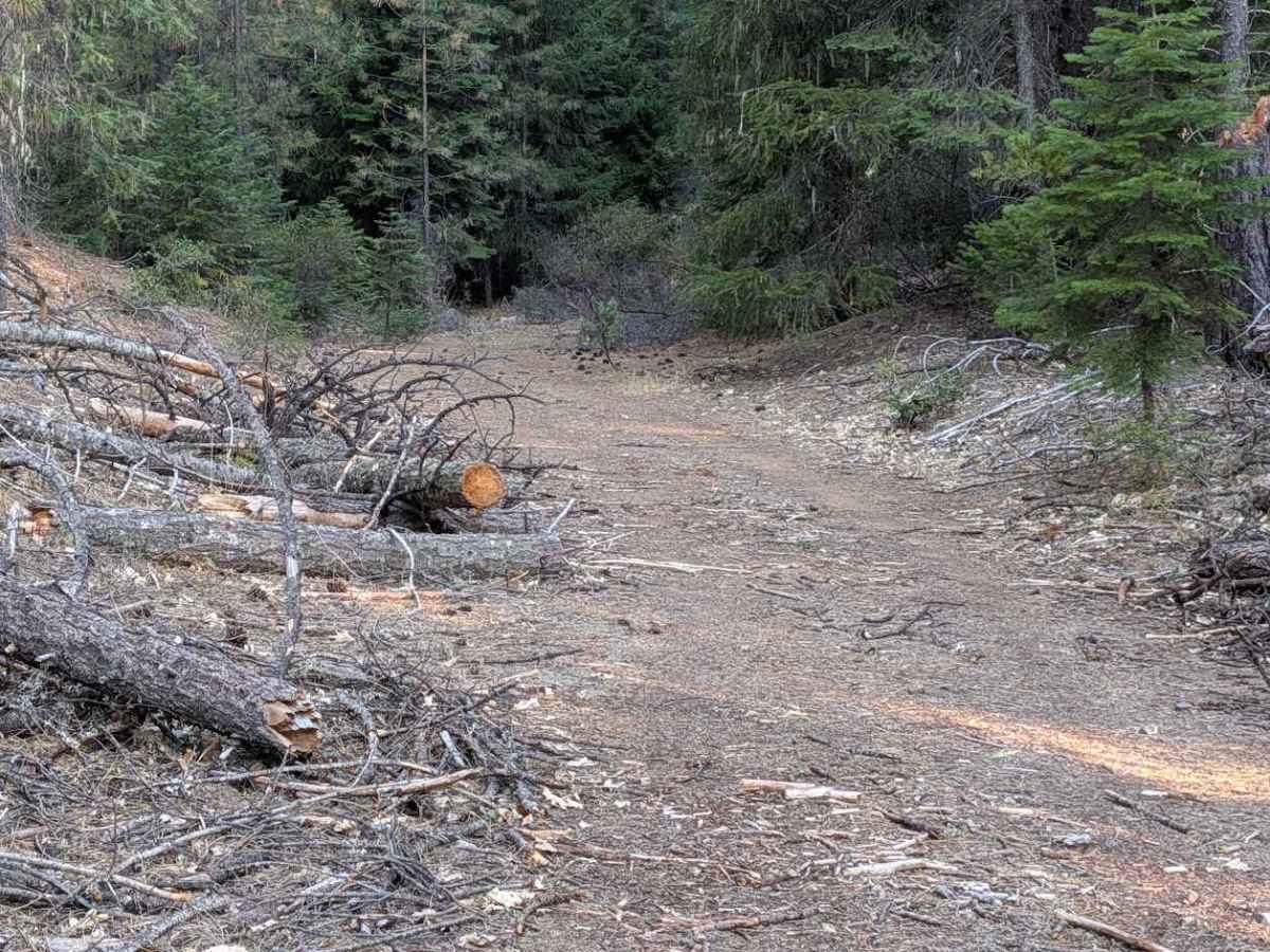 Post Road - FS 1N29 photo 6