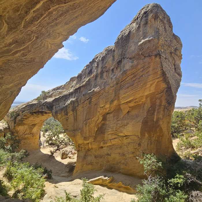 Near Moonshine Arch Trail
