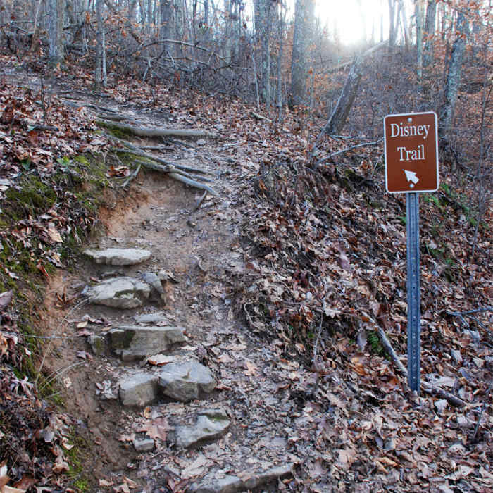 Near George Disney Trail