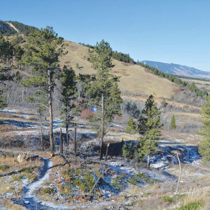 Near Red Grade Trail System Loop