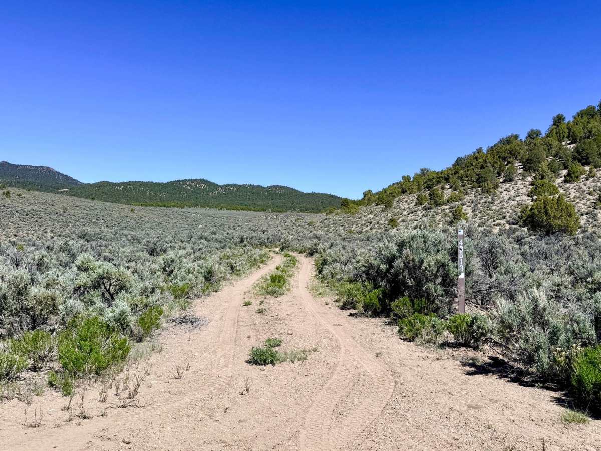 South Brock Canyon - FS 43513 trail photo