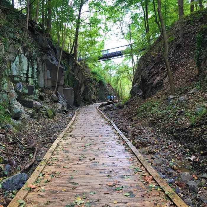 Near Trolley Line #9 Trail