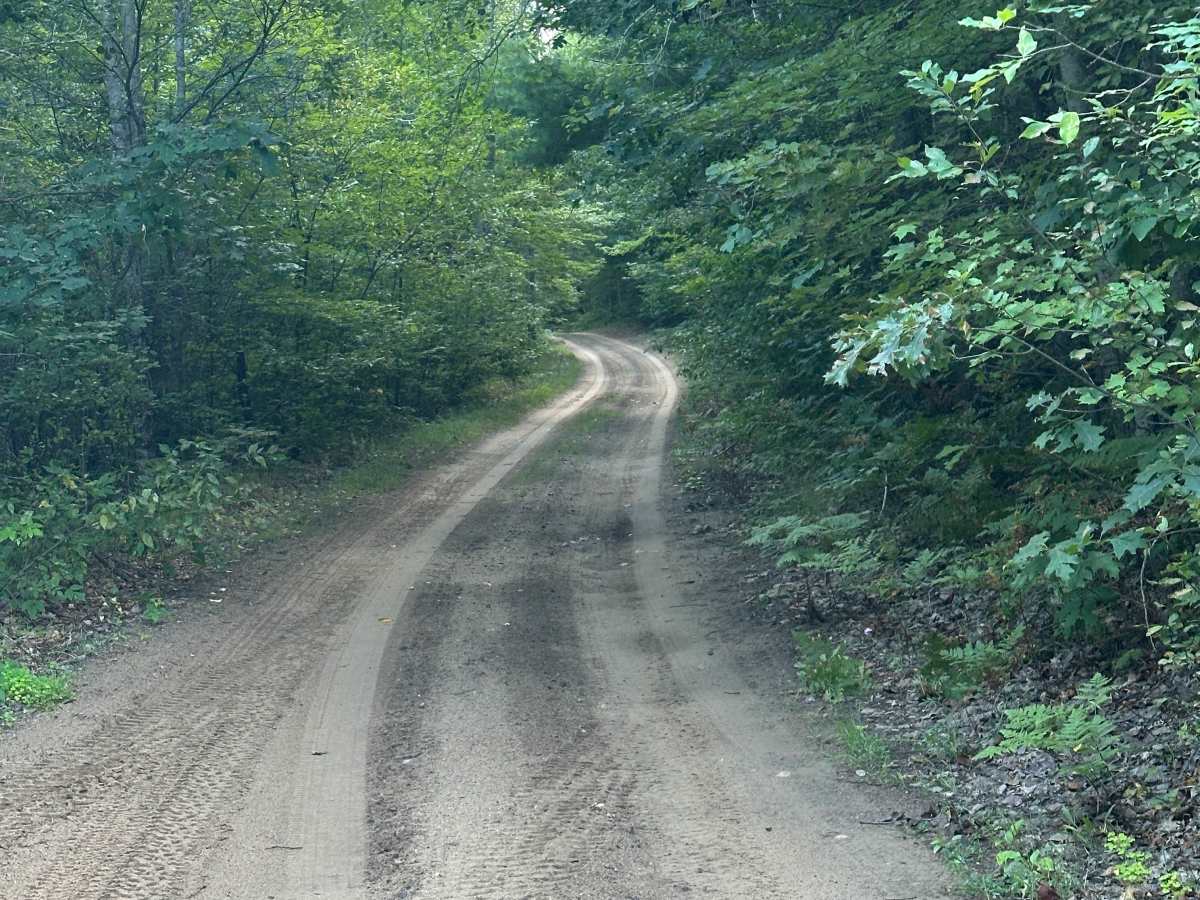 Panther Road photo 6